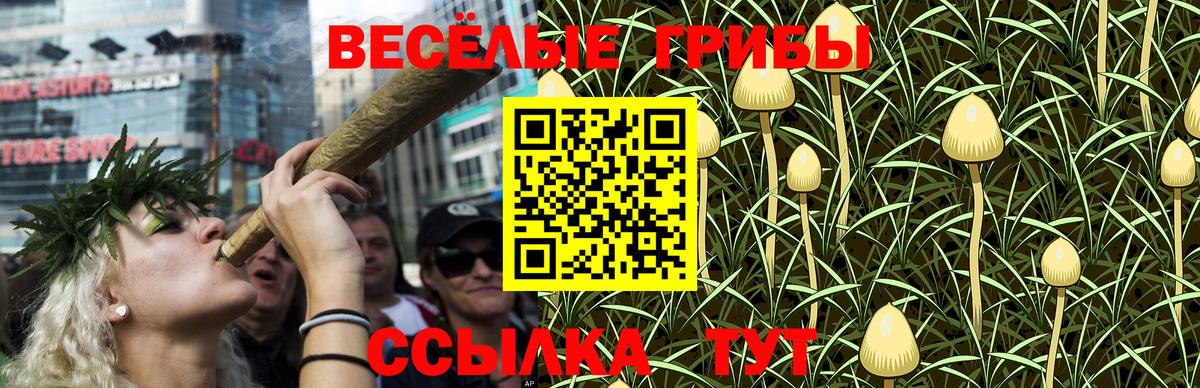 сколько стоит  Югорск  Псилоцибиновые грибы Magic Shrooms 